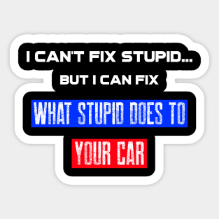 I can't fix stupid. But I can fix what stupid does to your car. Sticker